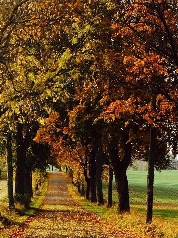 Stora Djuloe Vandrarhem Катринехольм Экстерьер фото