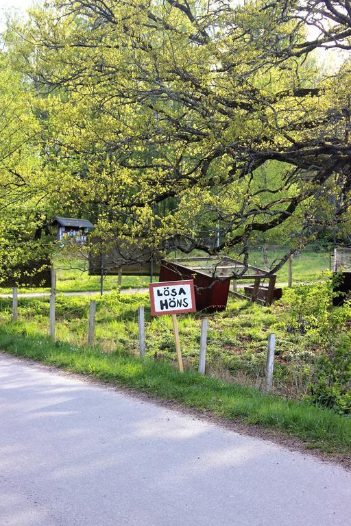 Stora Djuloe Vandrarhem Катринехольм Экстерьер фото